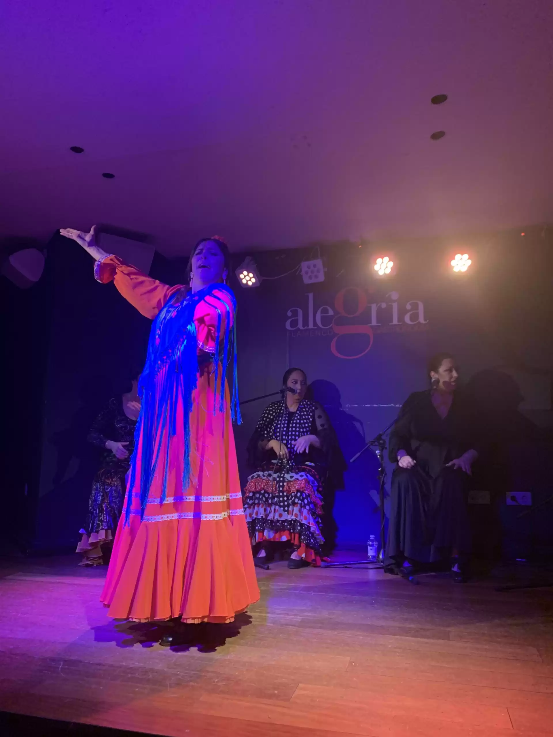 Flamenco Show at Alegría