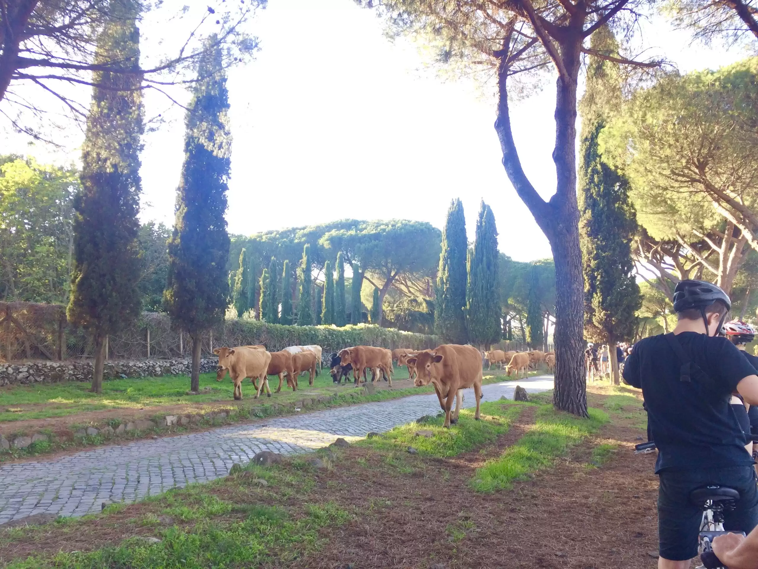 Via the Appian Way Electric Bike Tour