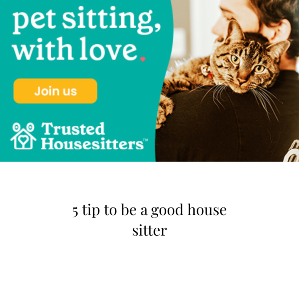 5 TIPS TO BE A GOOD HOUSE SITTER