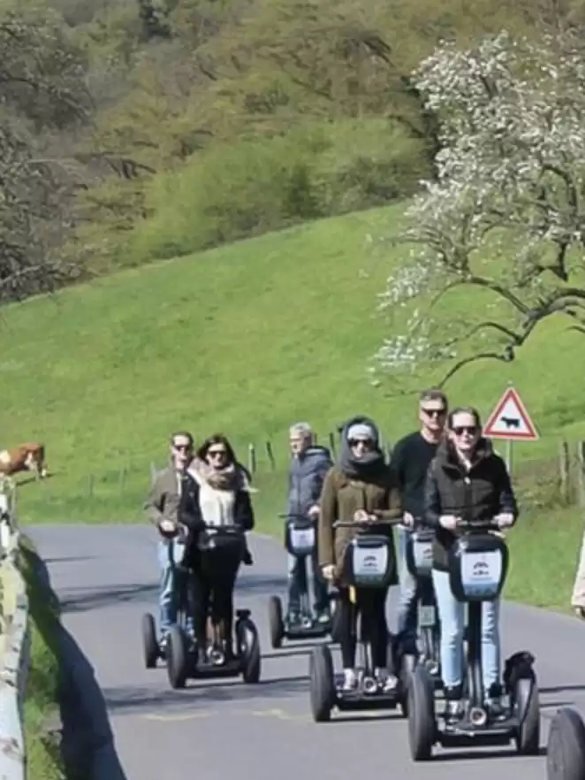 Heidelberg Highlights Segway Tour