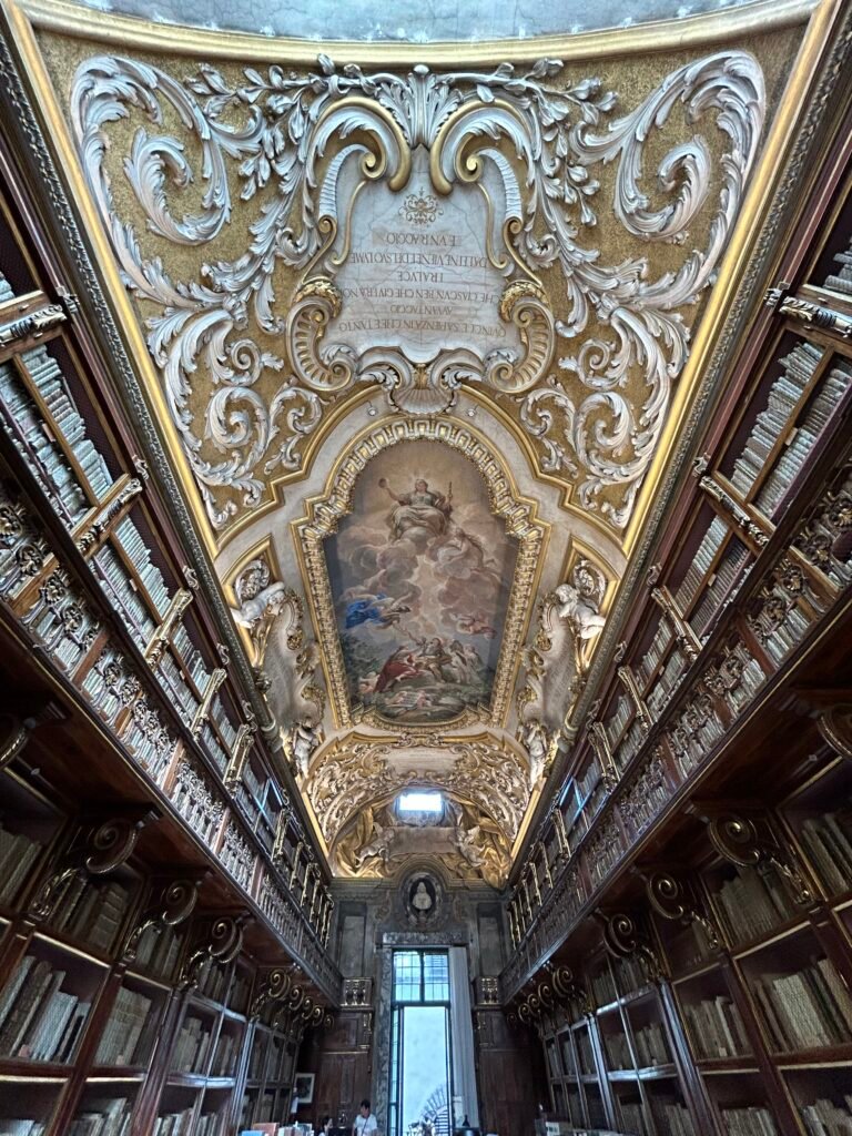 Biblioteca Moreniana