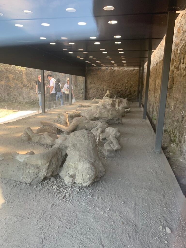 Garden of the Fugitives when visiting pompeii italy